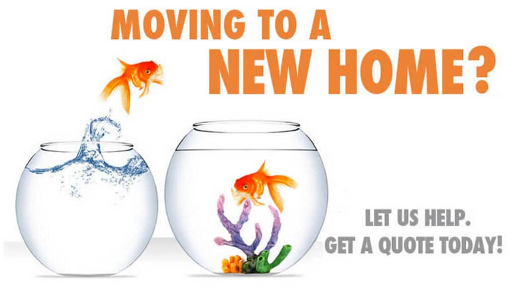 Moving to a New Home? Let us Help
